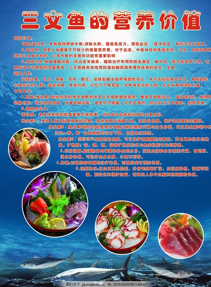 三文鱼营养价值,三文鱼价值 海鲜 料理 日本料理