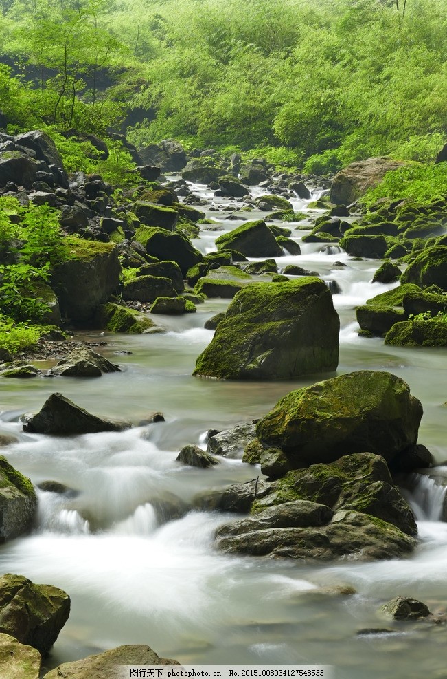 溪水 溪流 流水 小溪 小河沟 相机拍摄 摄影 自然景观 自然风景 180dp