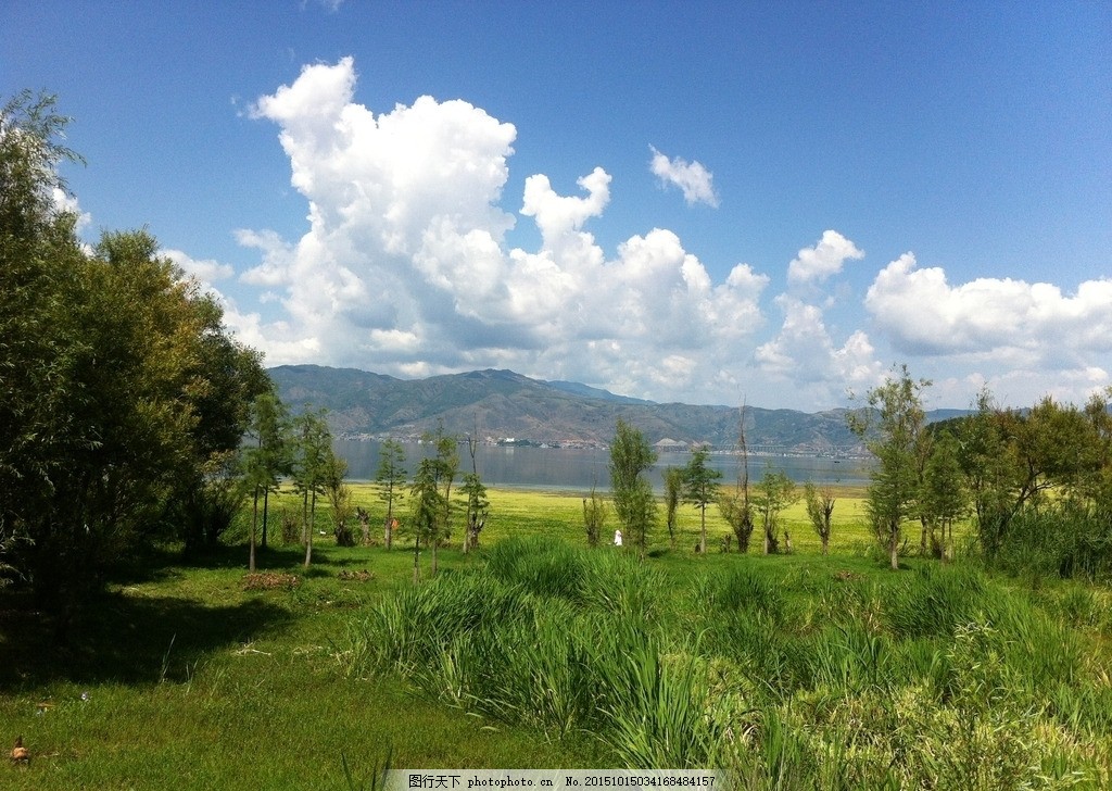 郊外 蓝天 天空 白云 草地 树木 景点 摄影 自然景观 自然风景 72dpi