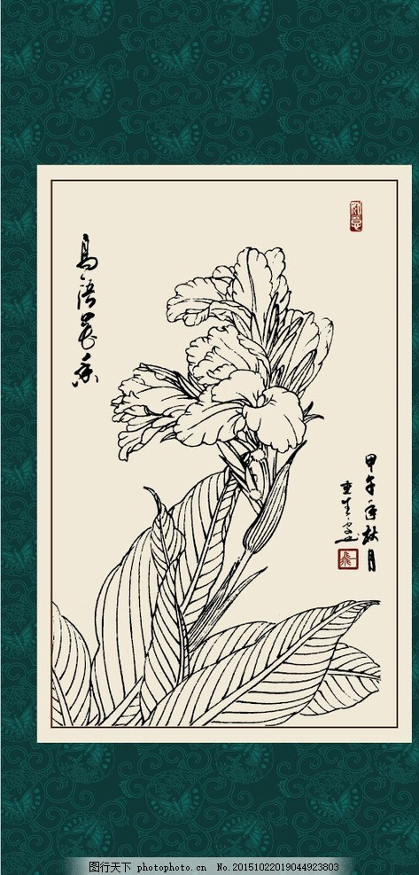 美人蕉 绘画 白描 线描 手绘 国画 毛笔画 工笔 轮廓 印章