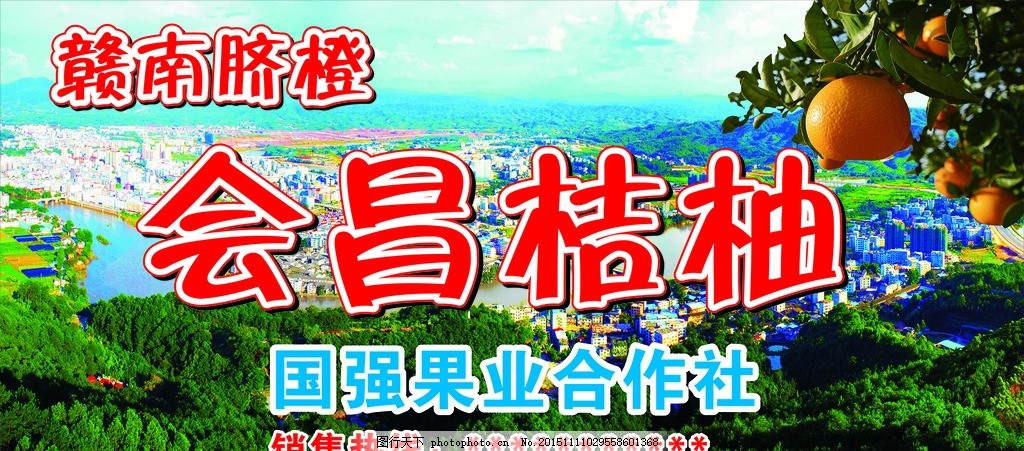 果业合作社,赣南脐橙 桔柚 背景图 山 树 岚山 风