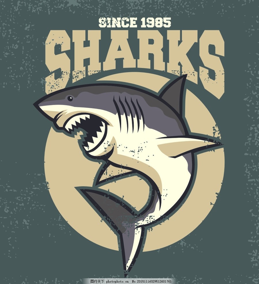 鲨鱼,大鲨鱼 大白鲨 食人鲨 锋利的牙齿 危险 海